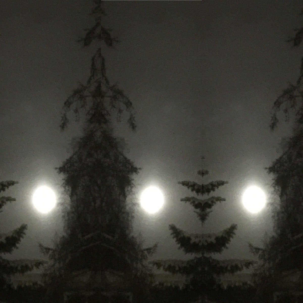 907WRae's tweet photo. )O(
#fullmoonAK #maidenmothercrone https://t.co/1bdTwmjU8p