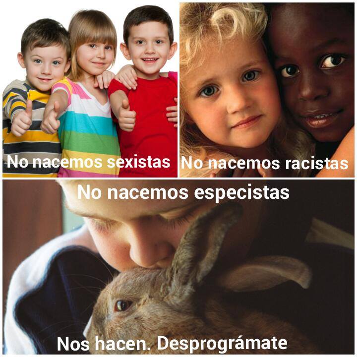 sentimosxigual's tweet photo. Desprográmate. https://t.co/VUCACRtAGl