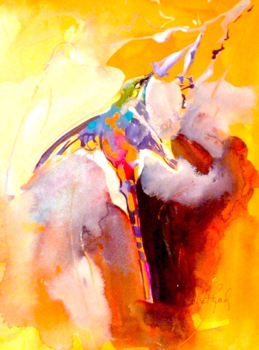 Long tail hummer - watercolour/gouache