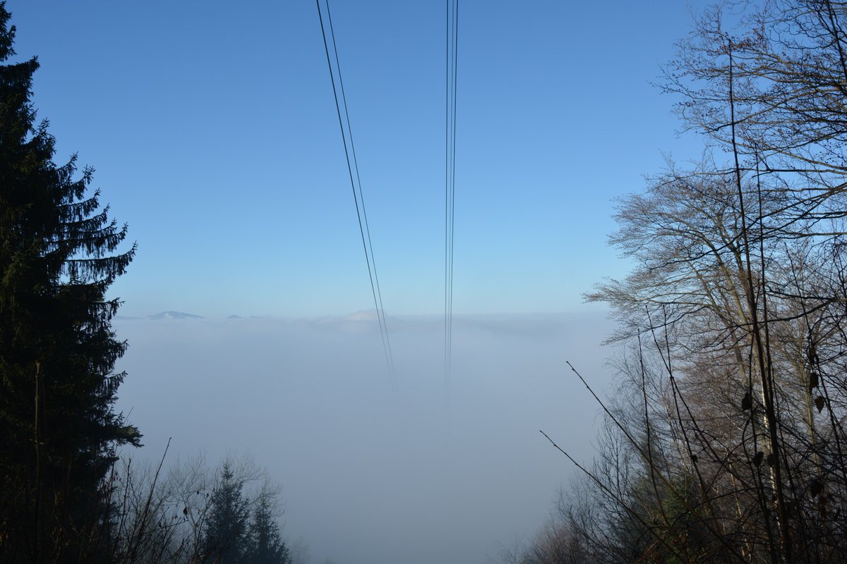 MirjamDomig's tweet photo. #Bregenz #Pfänder #nature https://t.co/toR6EaNlE3