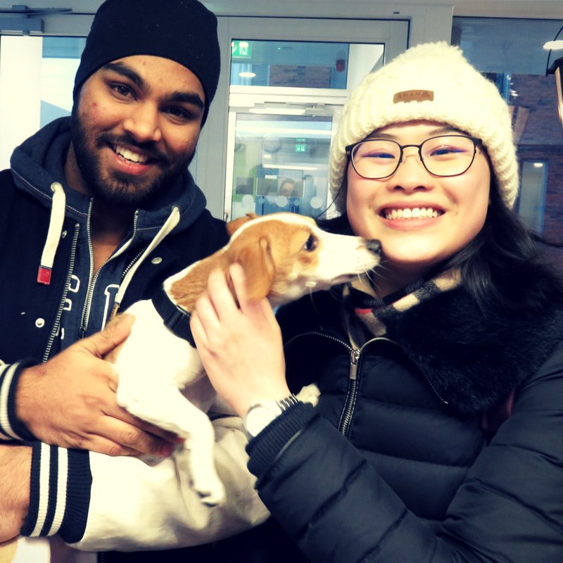 ApartoStudent's tweet image. Lassie getting all the attention yesterday #Aparto #BinaryHub #Puppy #Student #Dublin