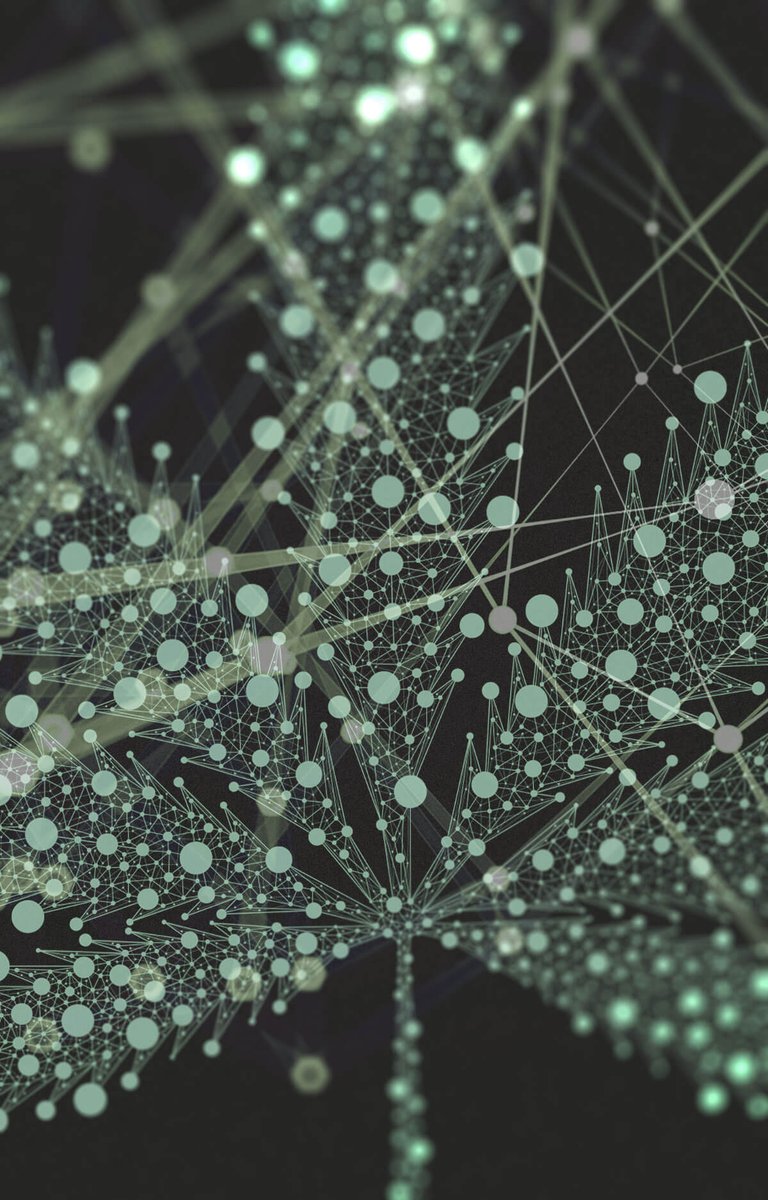 Cannabis Reports CEO <a href="/randomdrake/">David Drake</a> says “#Cannabis belongs to the people &amp; the info about it should also” dopemagazine.com/cannabis-data/