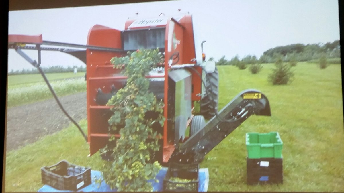 iowamadeline's tweet image. Diana Cochran has a hopes growing calendar and other pubs iastate.edu/horticulture @ISUsmallfarms #isueo