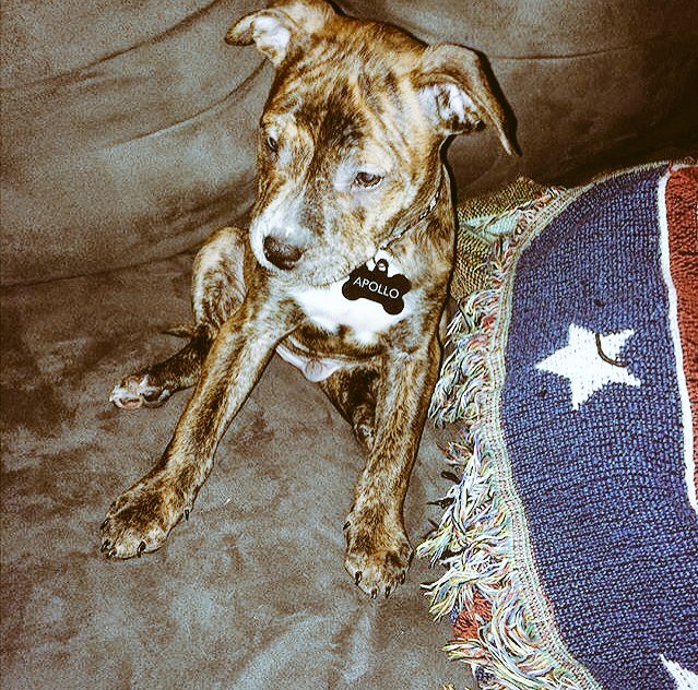 bully_tube's tweet image. 😍