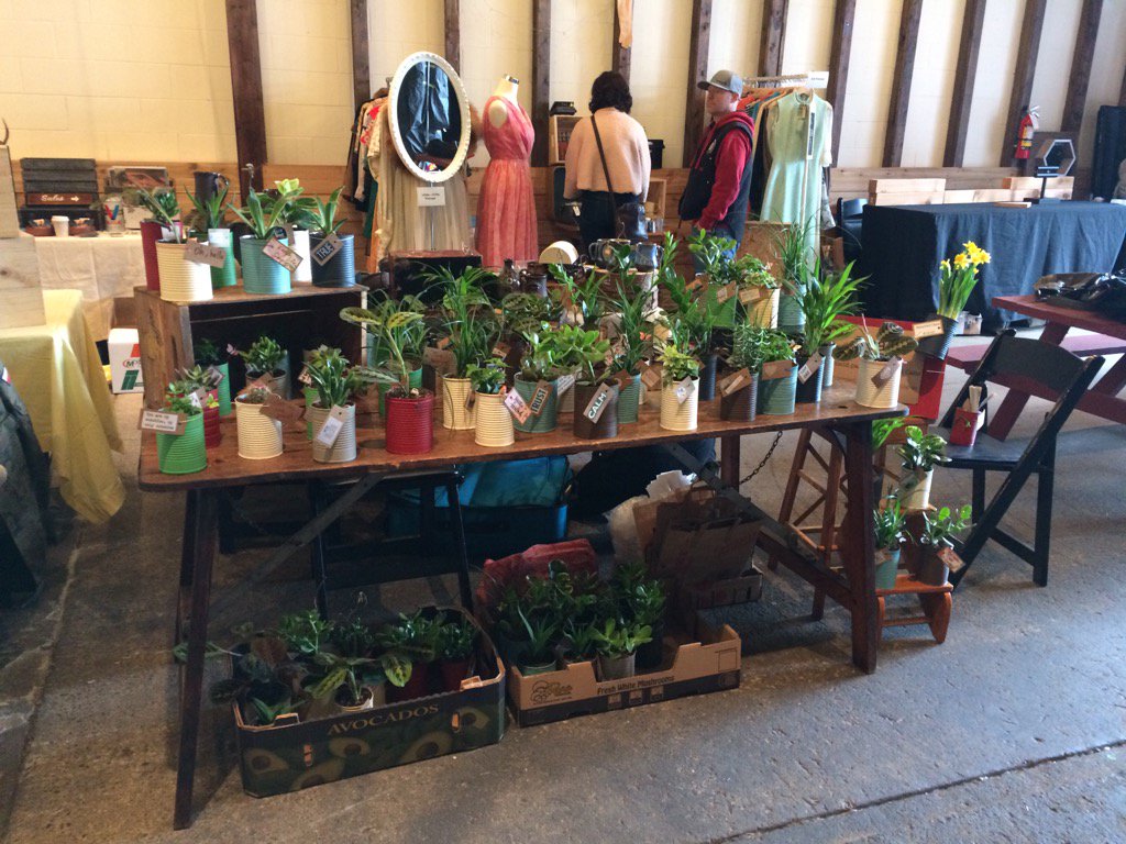 StewColbourne's tweet image. 