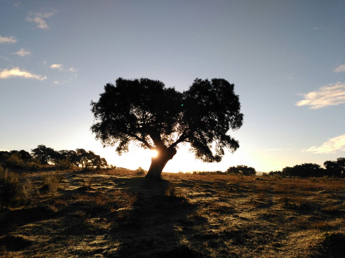 II Ruta Senderista Travesía del Alcarrache, 19 Febrero, #Barcarrota aún no te has apuntado?  alcorextremadura.org