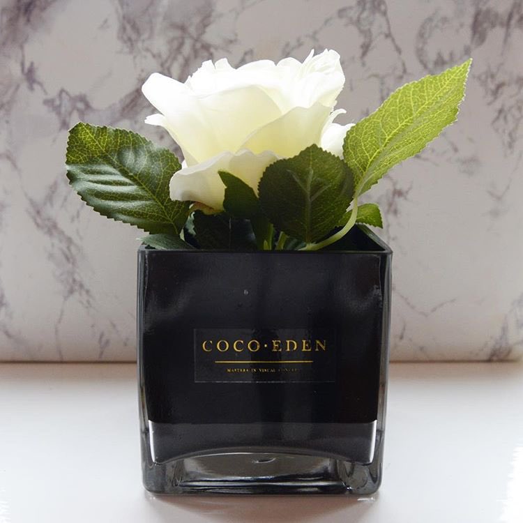 CocoEdenFlowers's tweet photo. Simplicity... #fauxflowers #silkflowers #artificialflowers https://t.co/imZW23W7Vf