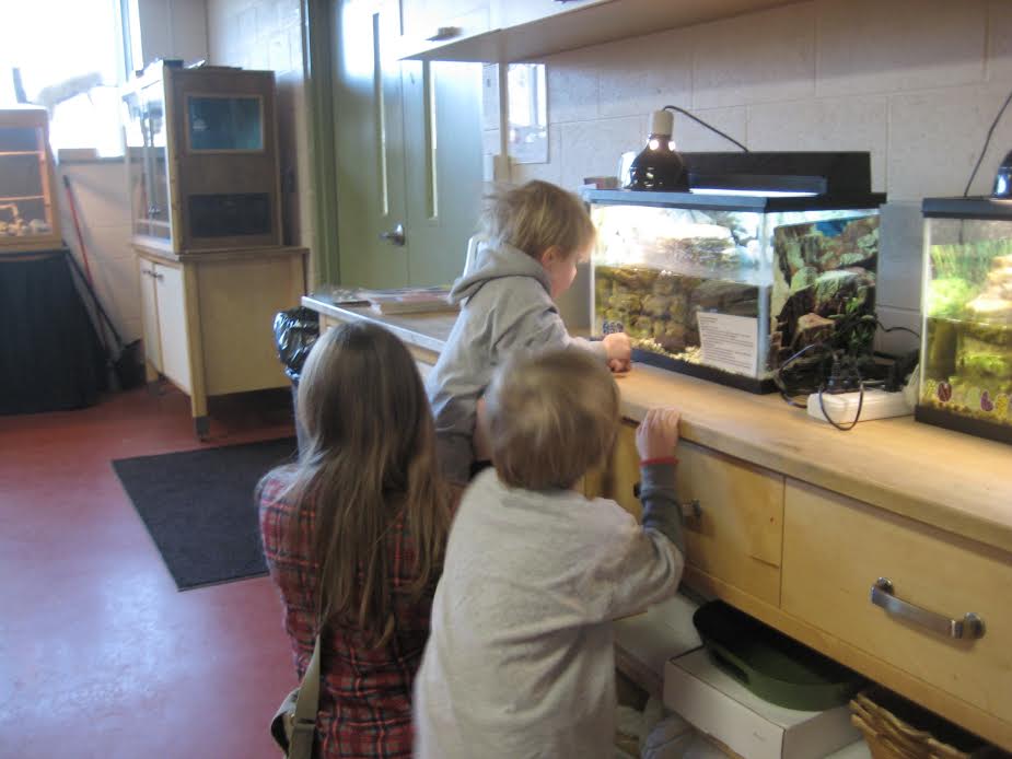 AshevilleCityCTE tweet media