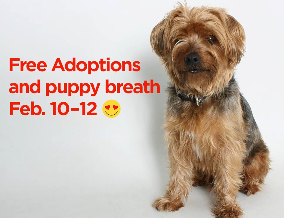 This weekend we are offering 0 adoption fees on all pets thanks to <a href="/petcofoundation/">PETCO PUPPIES REHOMING🐾</a>! Come find your special someone.