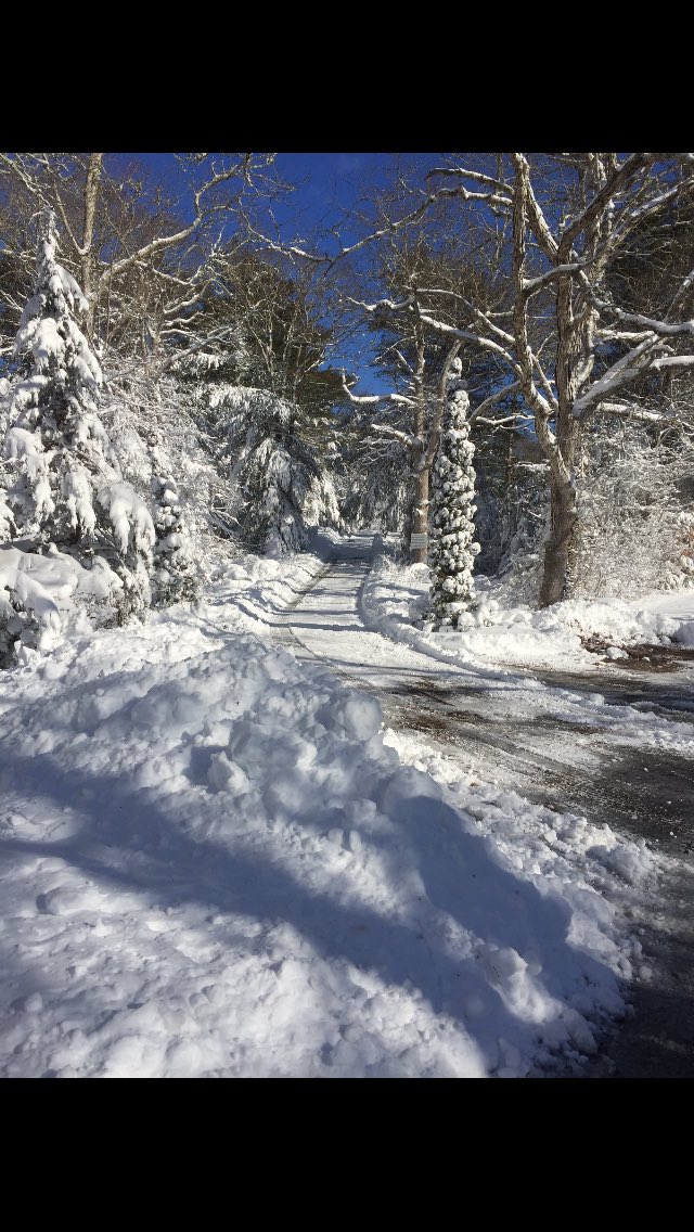 pojecttree's tweet image. 