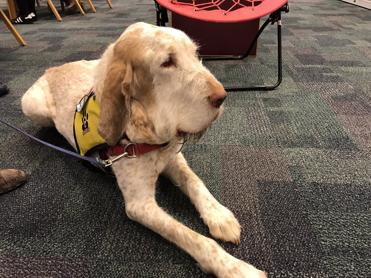 EIMSMounts's tweet photo. Thank you to KPETS and Lancaster Co. 4H club who brought friends for us to learn from this morning at EIMS Family Maker Day. #mountspride https://t.co/KBp0iupJbF