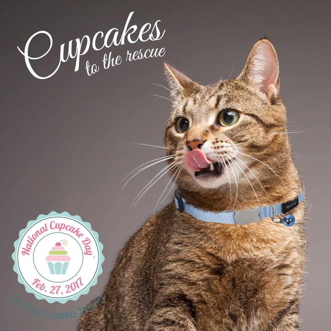 OntarioSPCA's tweet photo. Save a puppy, kitten or pony & make everyoneโs day a little brighter with a scrumptious treat. Register: nationalcupcakeday.ca @CupcakeDayCA https://t.co/RVBpYTb8X1