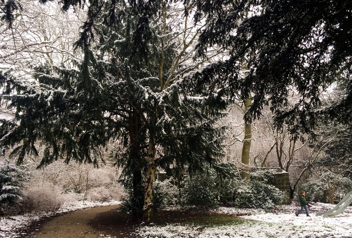 Stadspark Molenwater tweet media