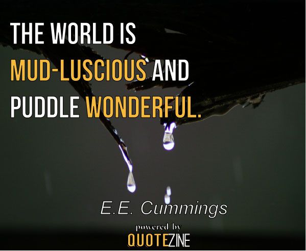 ndpthepoetress's tweet photo. The #world is mud-luscious and puddle-wonderful - e e cummings #mudluscious #puddlewonderful #mud #puddle #mudPuddle #wonderful 😊🙃 #BeHappy https://t.co/EPlkuEOlAR