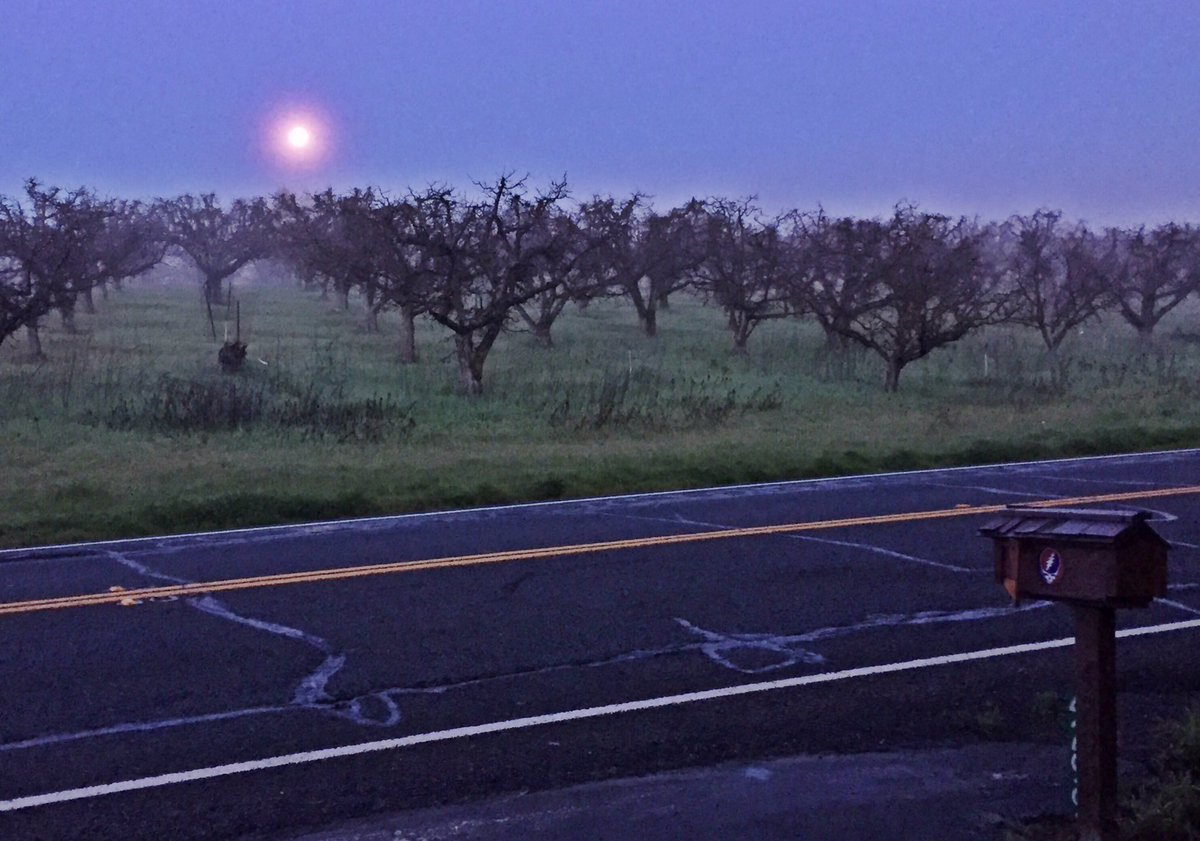 The highway, the moon, the clouds and the stars...
