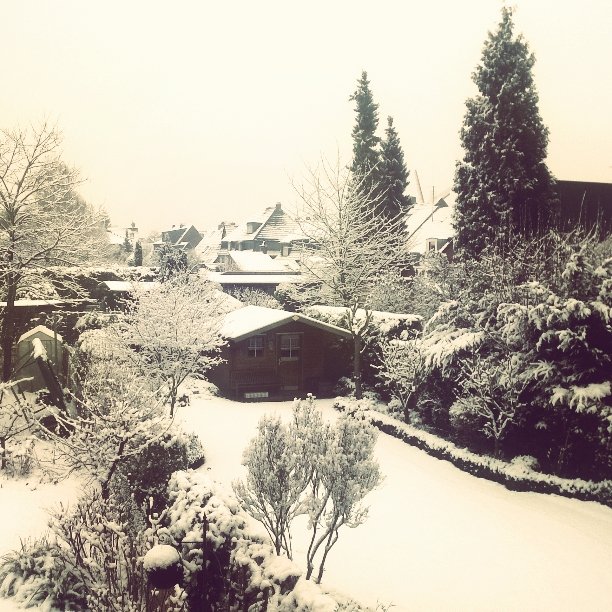 The Moment tweet media