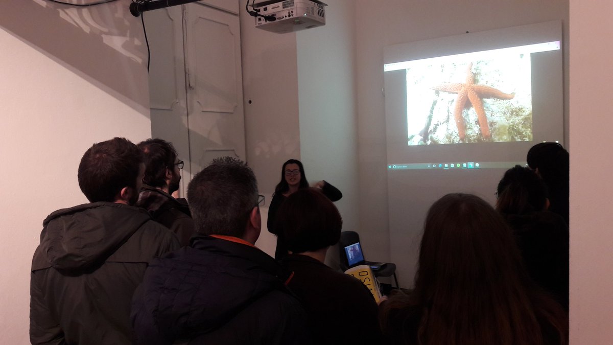 Ziguele4sea's tweet photo. Partita la simulazione dell immersione dai fondali dell @Amp_Portofino #fondali#streaming #wupge #genovamorethanthis https://t.co/wXG3O6s1hi
