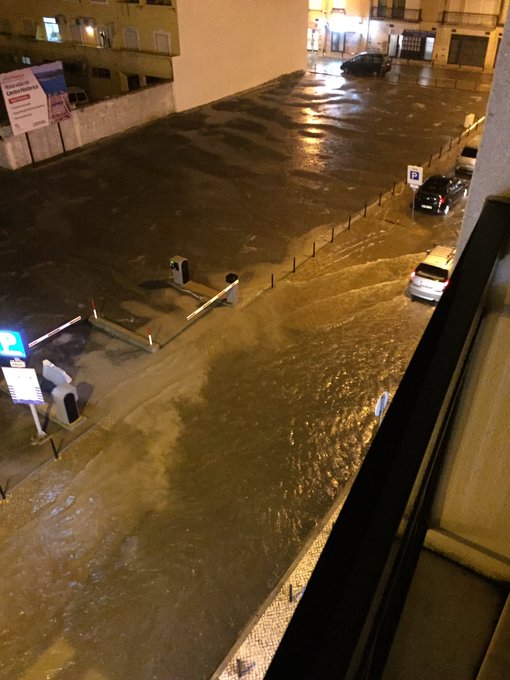 View image on Twitter