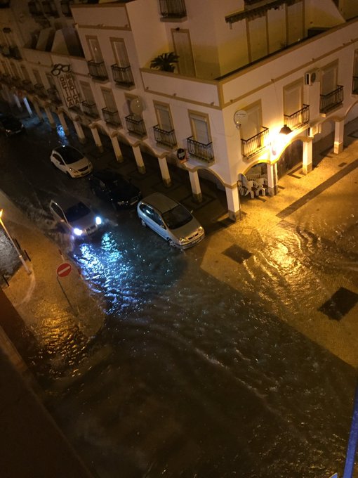 View image on Twitter