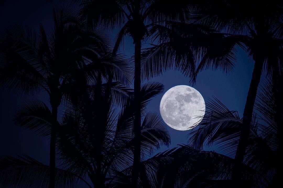 Skaterdb tweet media