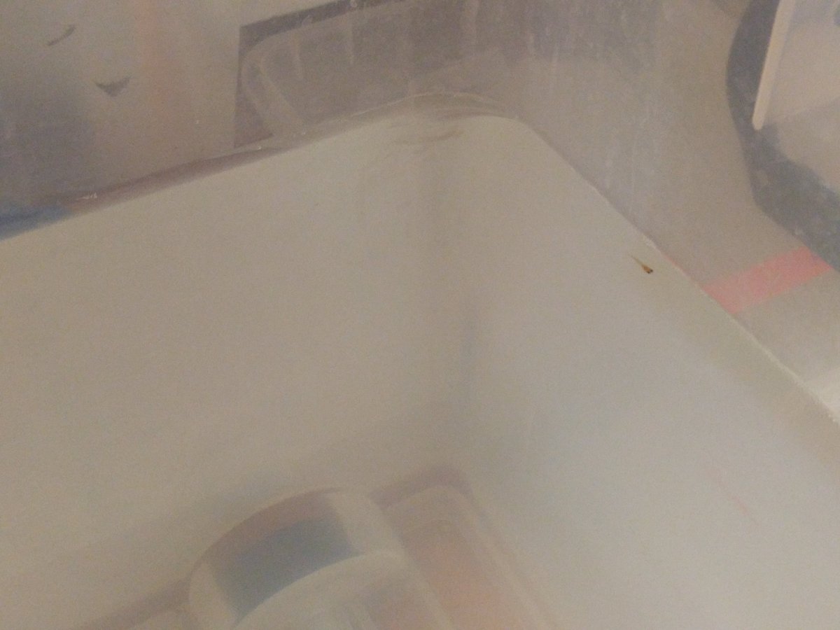 Finding Guppy tweet media