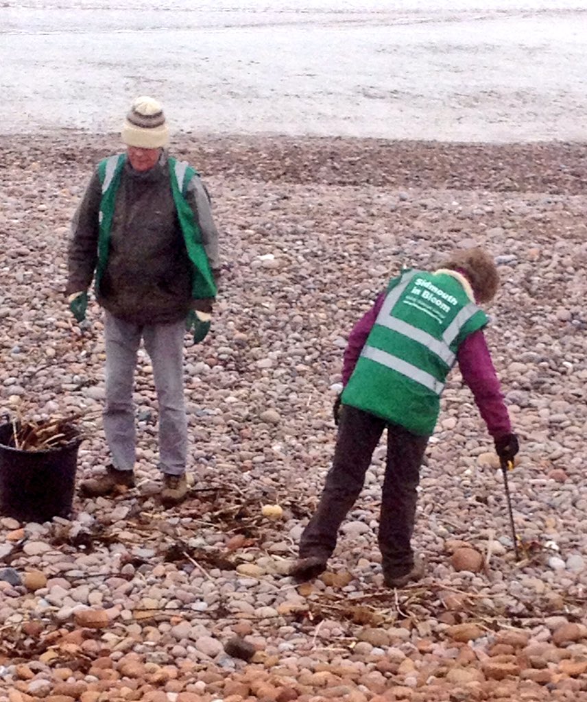 Wildlife247's tweet photo. Great effort today by beach cleaners from Sidmouth In Bloom clearing detritus washed up, loads of #driftwood, #fishing gear and #litter :( https://t.co/83qFlBDyW1