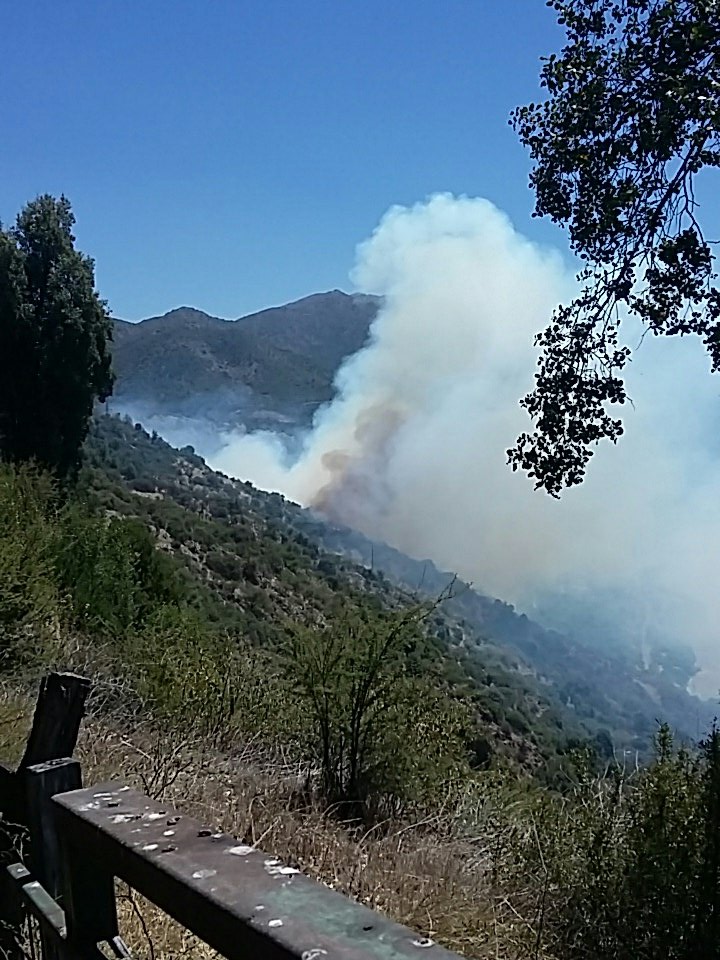 alegriagonzaa's tweet photo. 13:50 || #Machali INCENDIO FORESTAL en #Coya, sector La Paula (@acrabaxx) @reddeemergencia @RNEOHIGGINS @RNECharlie6 @GlobalSuperTank https://t.co/IAZatJjgAZ