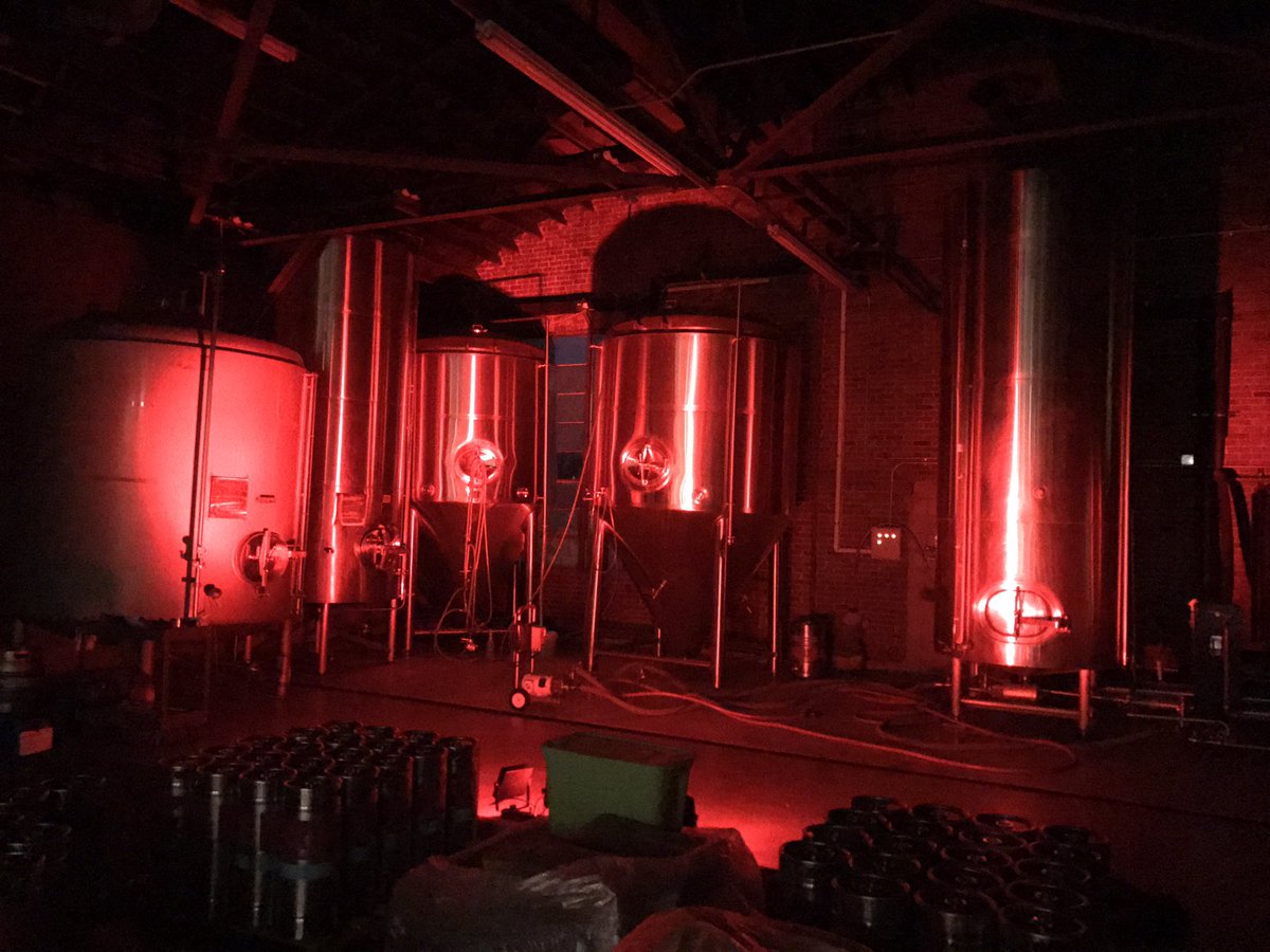 LO-Fi Brewing tweet media