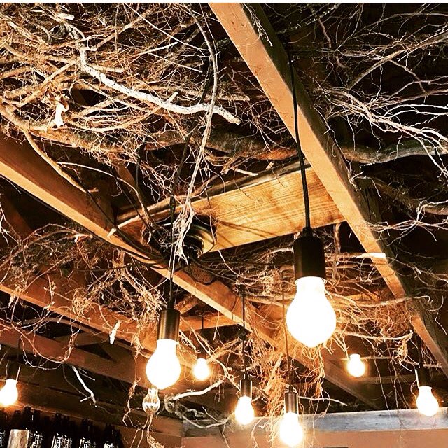 Open til 10 tonight in our RootCellar! Come for an elixirs or tea date anytime today. Drink your flowers...
