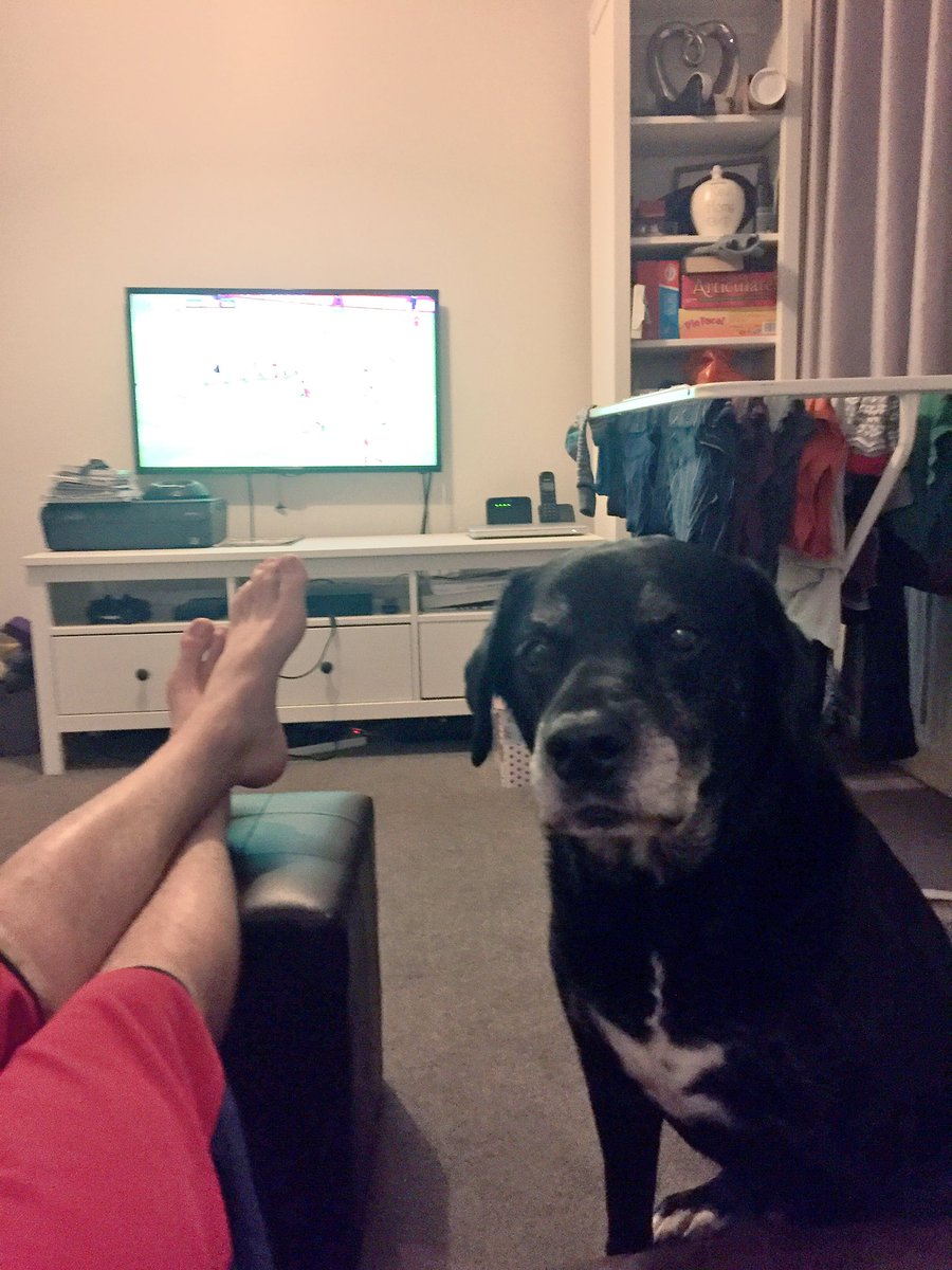CPowell92's tweet image. No it's not dinner time, I'm trying to watch the rugby mate... 😂😂😂 #WALvENG #Scoobydoo