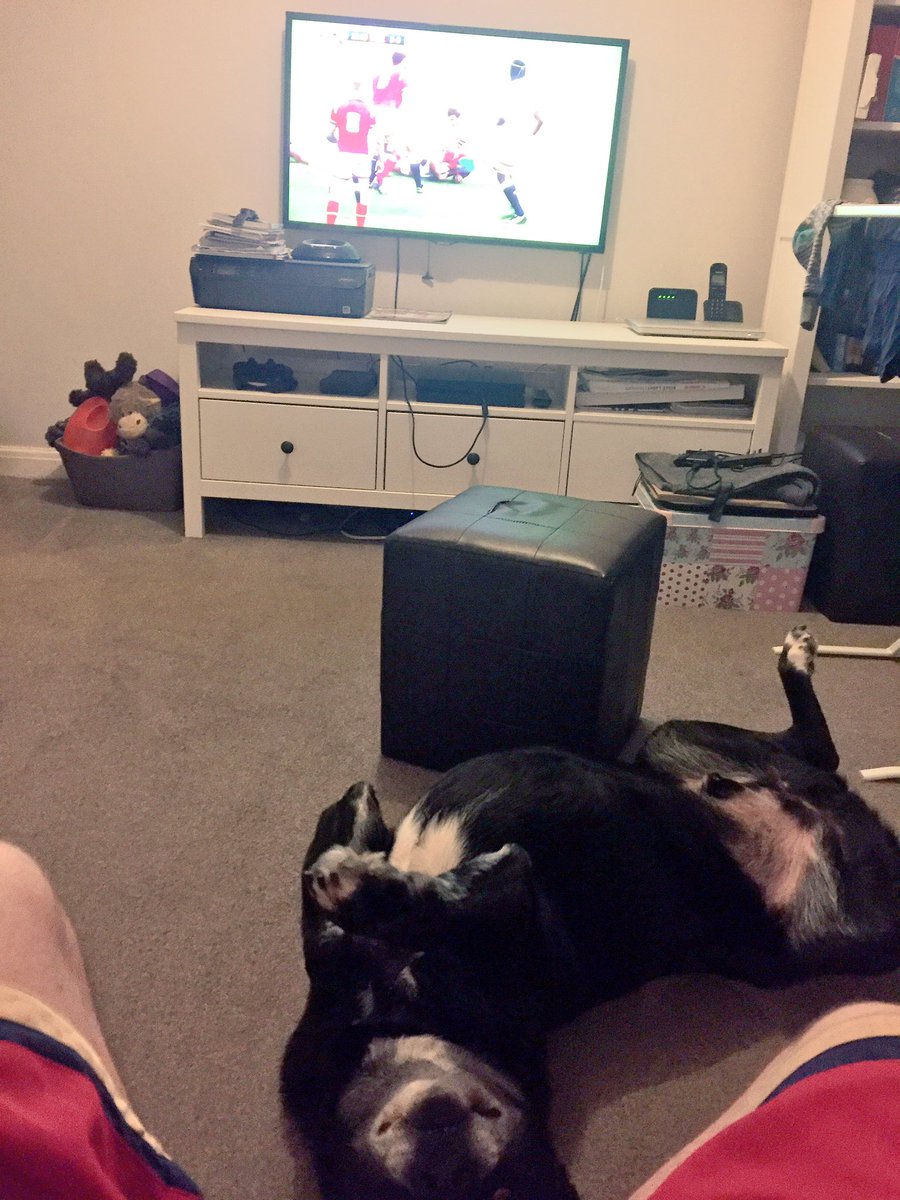 CPowell92's tweet image. No it's not dinner time, I'm trying to watch the rugby mate... 😂😂😂 #WALvENG #Scoobydoo