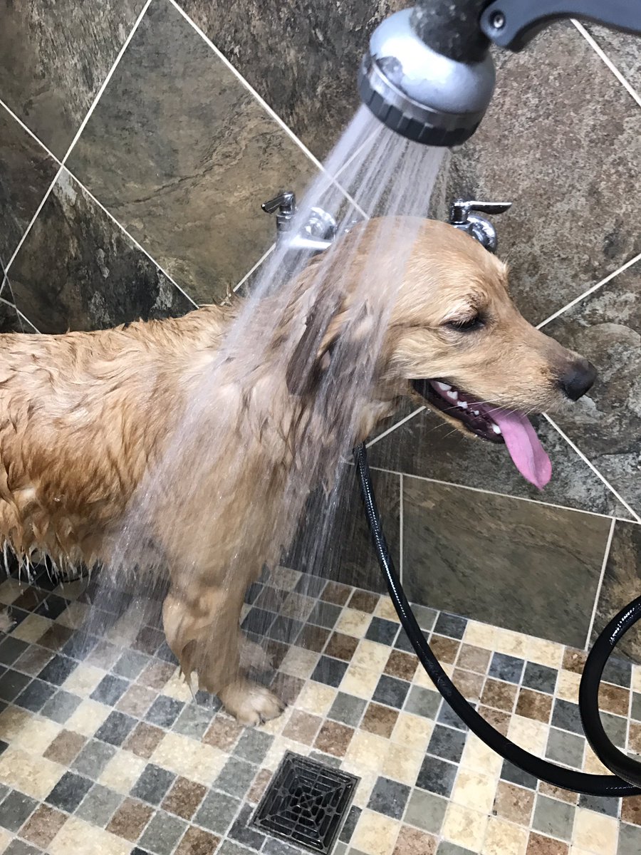 I had to take a bath just to get the salt off. Great training today! #zst #ZSHQ