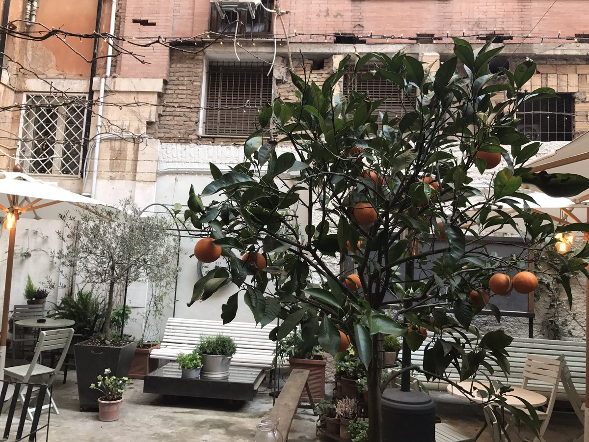 CrawfordDorcas's tweet photo. Thanks to fantastic blog by @eminchilli we found #Pianostrada & it's funky wine list! #Rome https://t.co/RLRaBNywDA