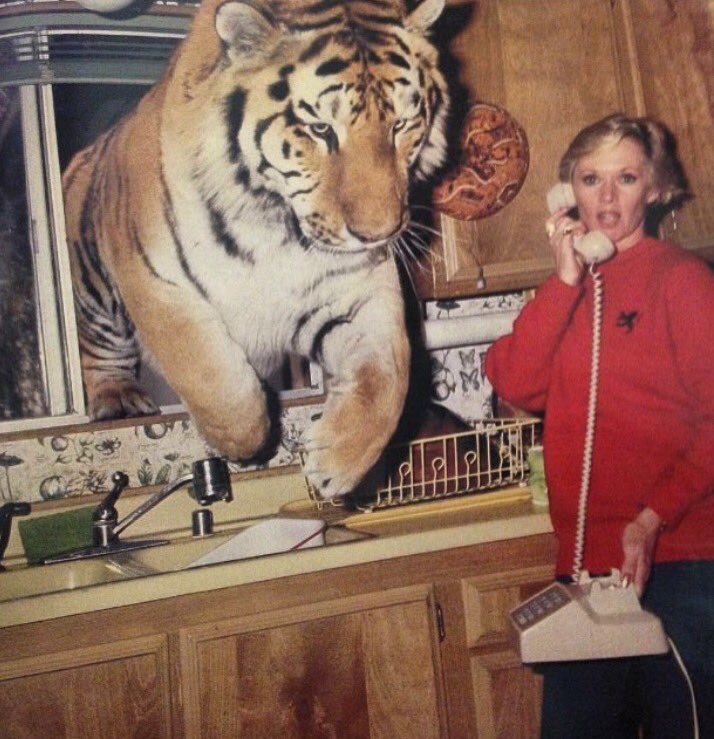 jagjaguwar's tweet photo. Would love to know more about this photo please. https://t.co/geJ19eeIkT