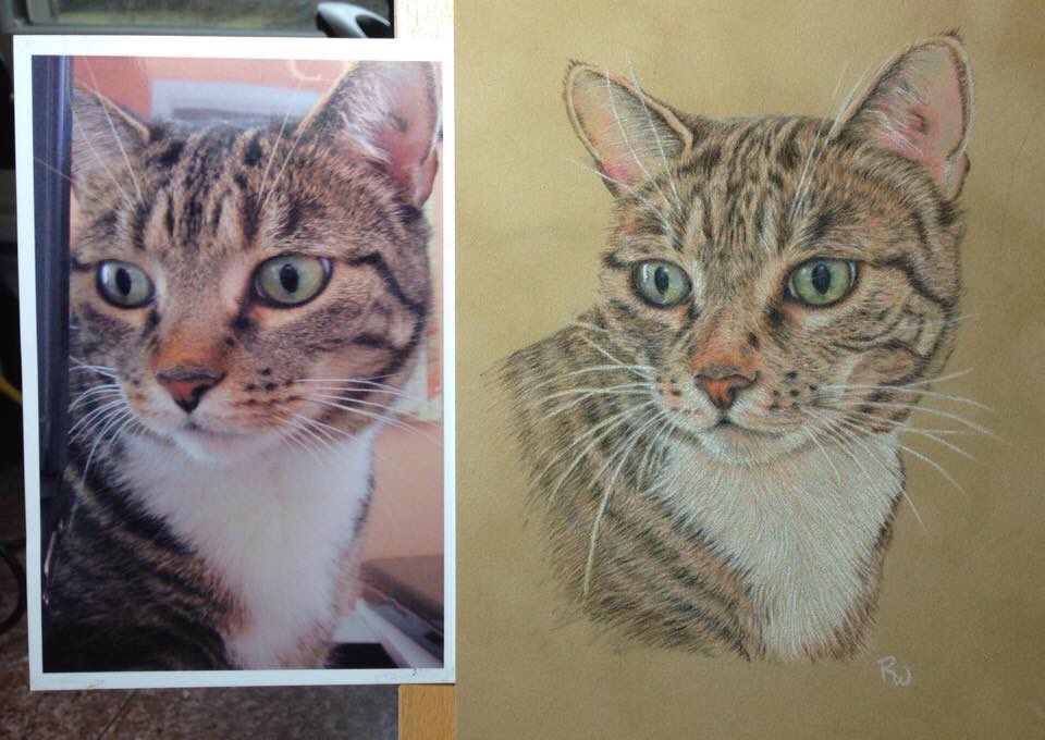 Potential post-retirement career. 1st attempt: colored pencil on suede mat board: