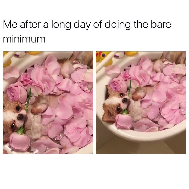 womenshumor's tweet photo. All day today. https://t.co/n2CJmIHUoQ