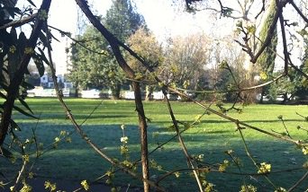 Young Place Shapers tweet media