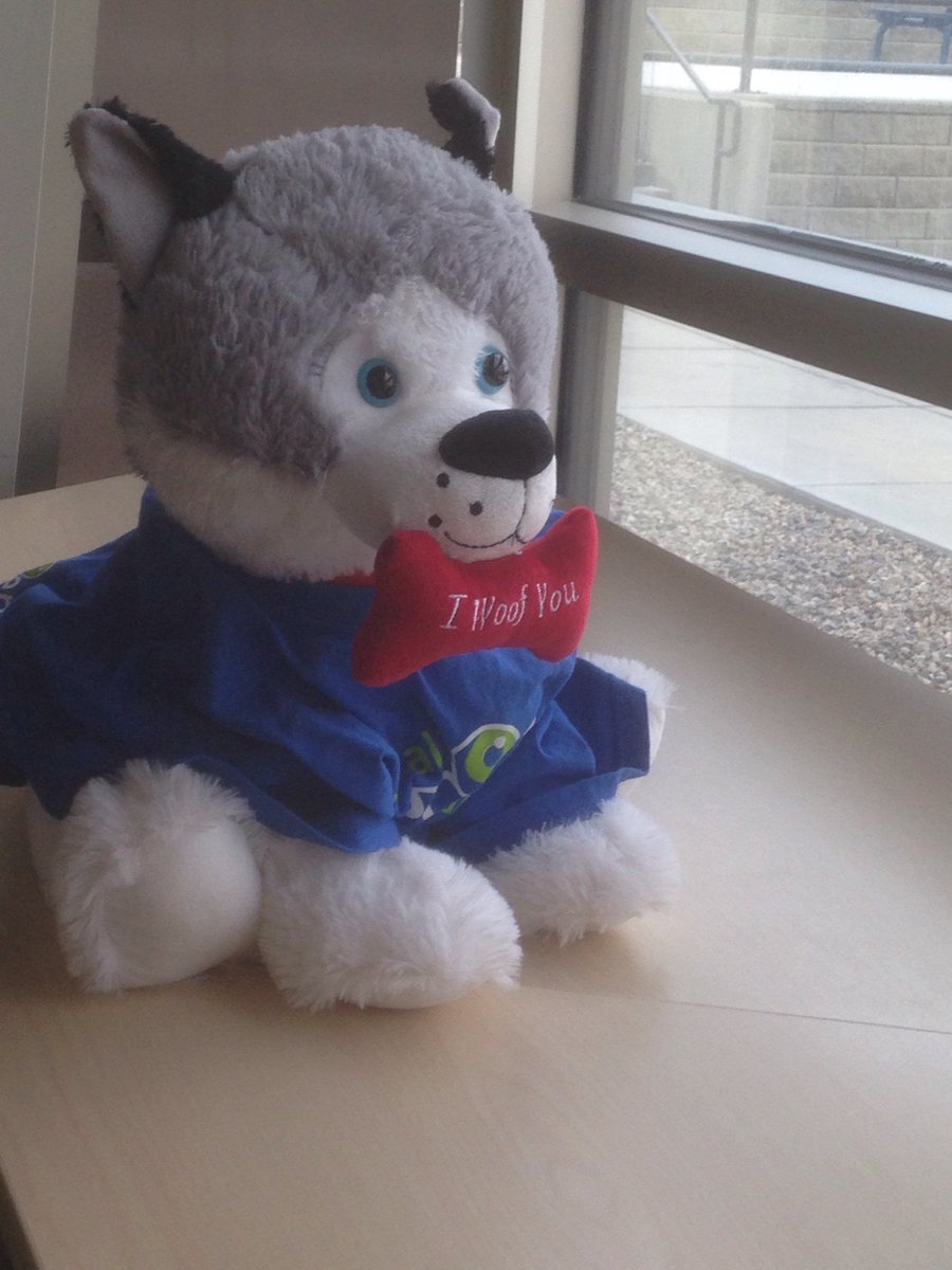 Nicole Crooks tweet media