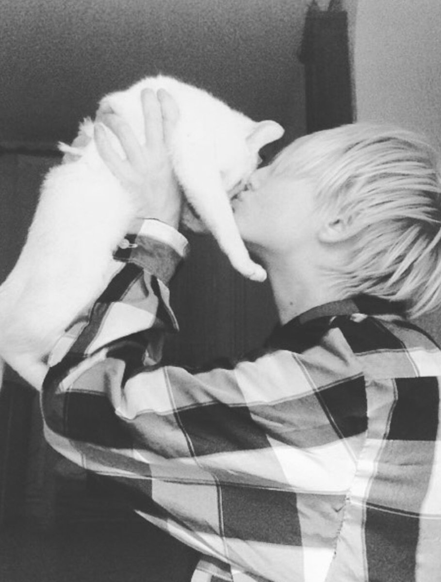 DeathByDocility's tweet image. "Sweet kitty~"