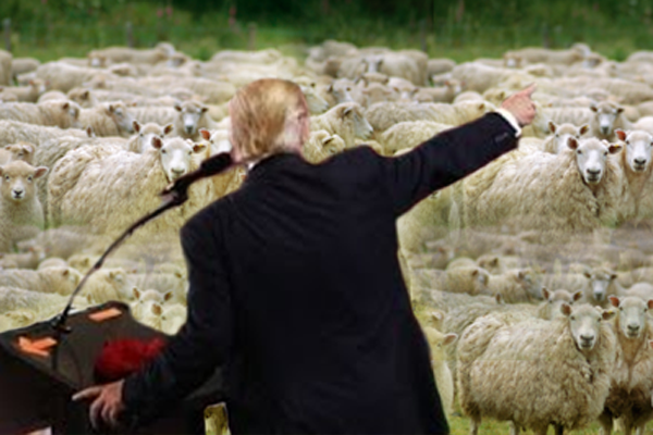 dewbscott87's tweet photo. Aww...  Didums need sheeple praise; make bad news monsters' owwies go bye-bye?  Boo-boo all better now? Stop talk. Do. #trumpfail #yugecrowd https://t.co/pUWzEllCWj