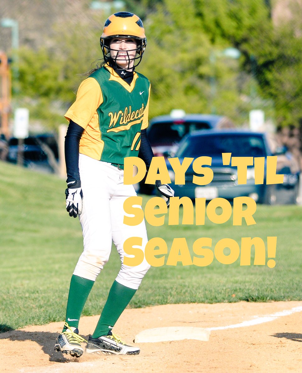 Wilde Lake Softball tweet media