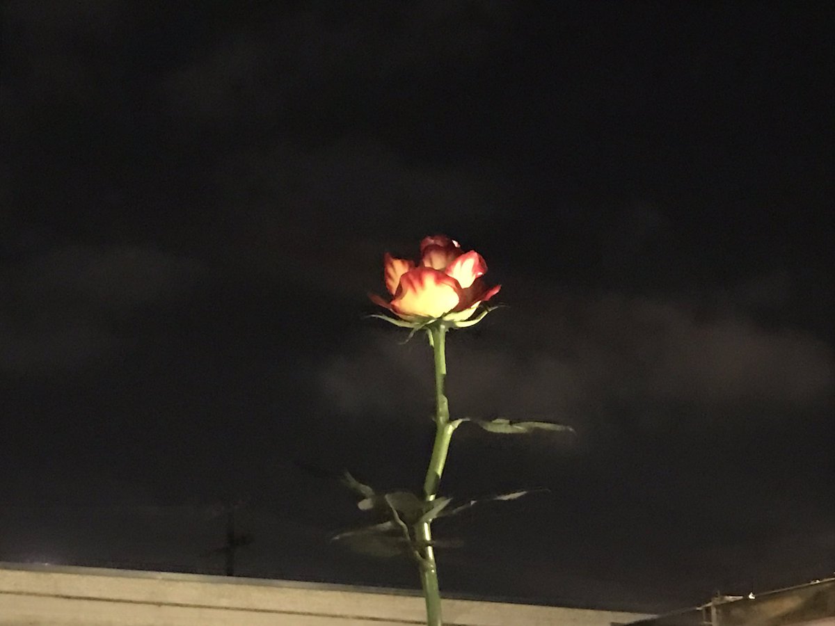 DrumandLace's tweet photo. Ah so the #DTLAartsdistrict is a no-go on saturdays now huh? ๐๐๐ #saturdaynightfail https://t.co/SlOia6tJcE