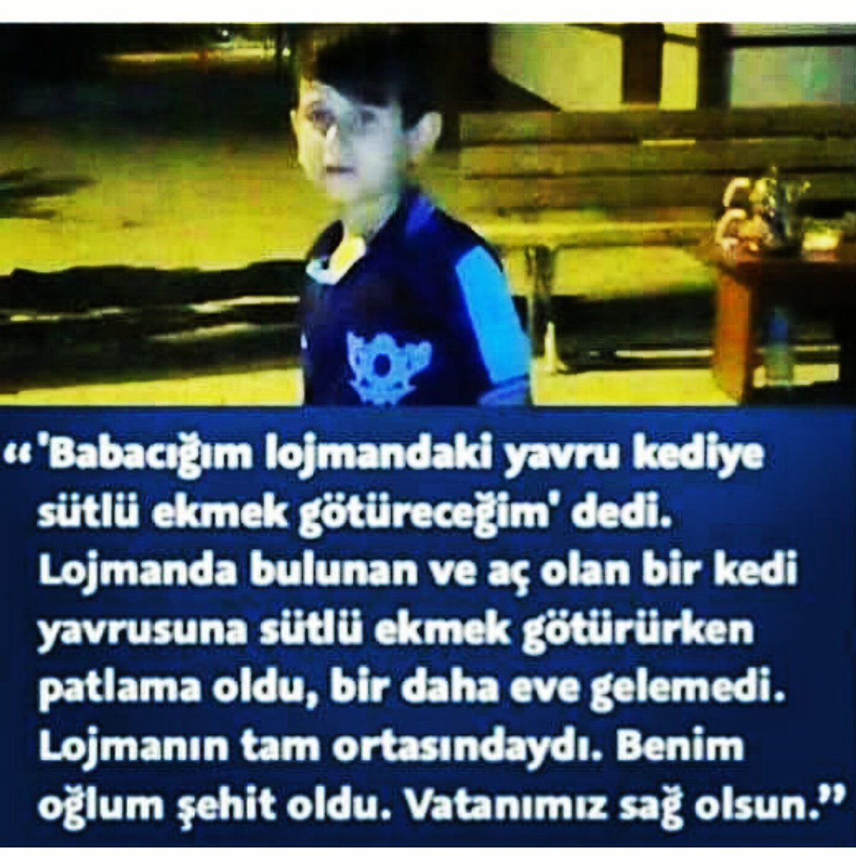 ecdadi_osmanli's tweet photo. Canlar Gidiyor https://t.co/8VUxxLK6Gx