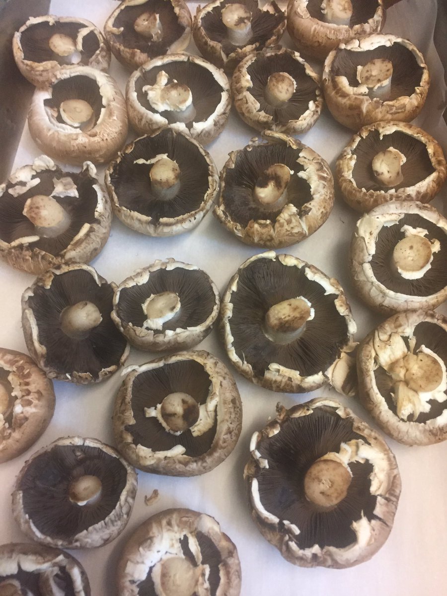 I love mushroom 🍄🍄#chef #chefslife #cheftalk #sydney