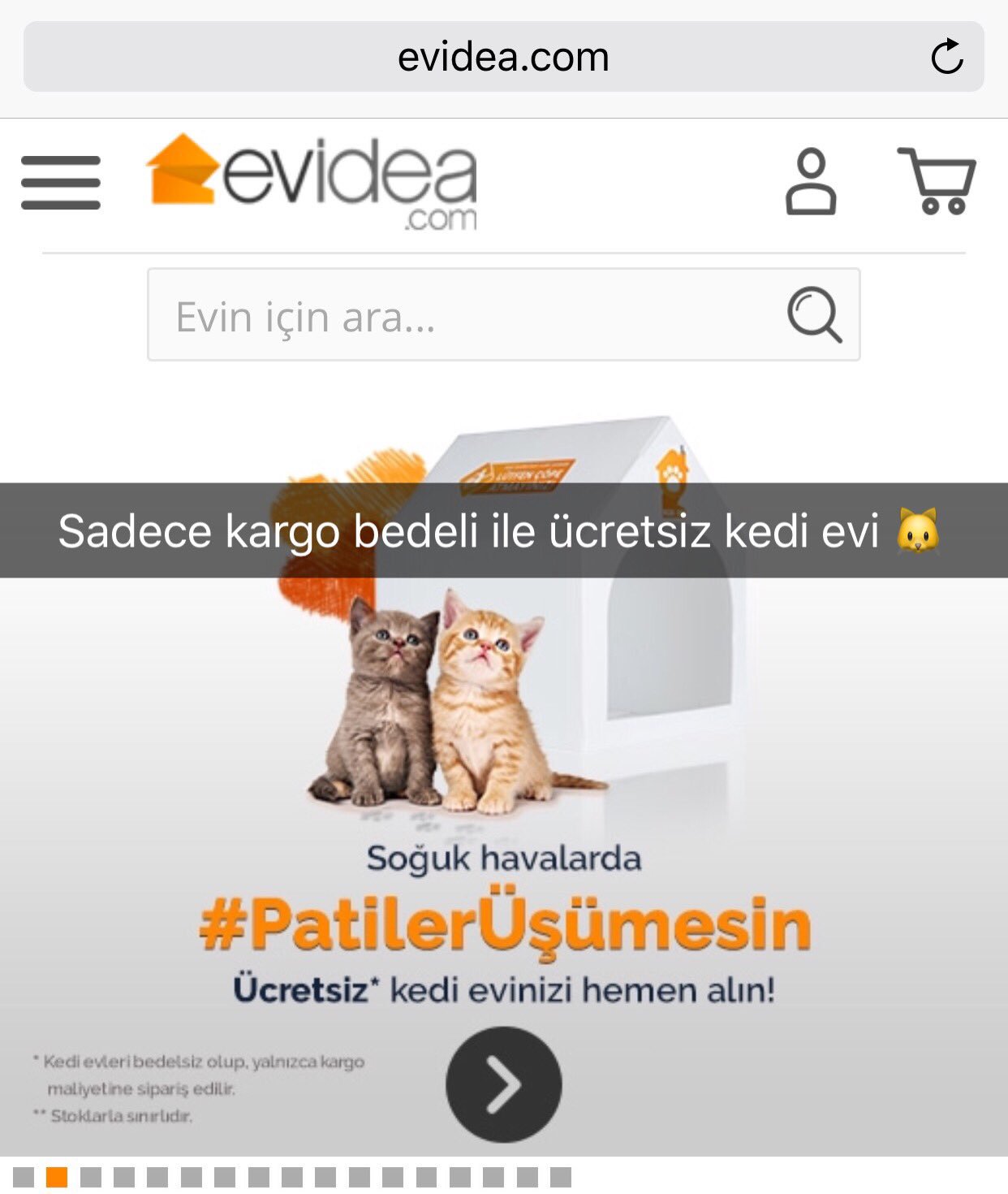 kilitli dolap bodur catisma evidea kedi evi kargo parasi bilsanatolye com
