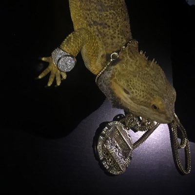 SLdaGreat's tweet photo. #NewProfilePic https://t.co/yY7378ZUkj