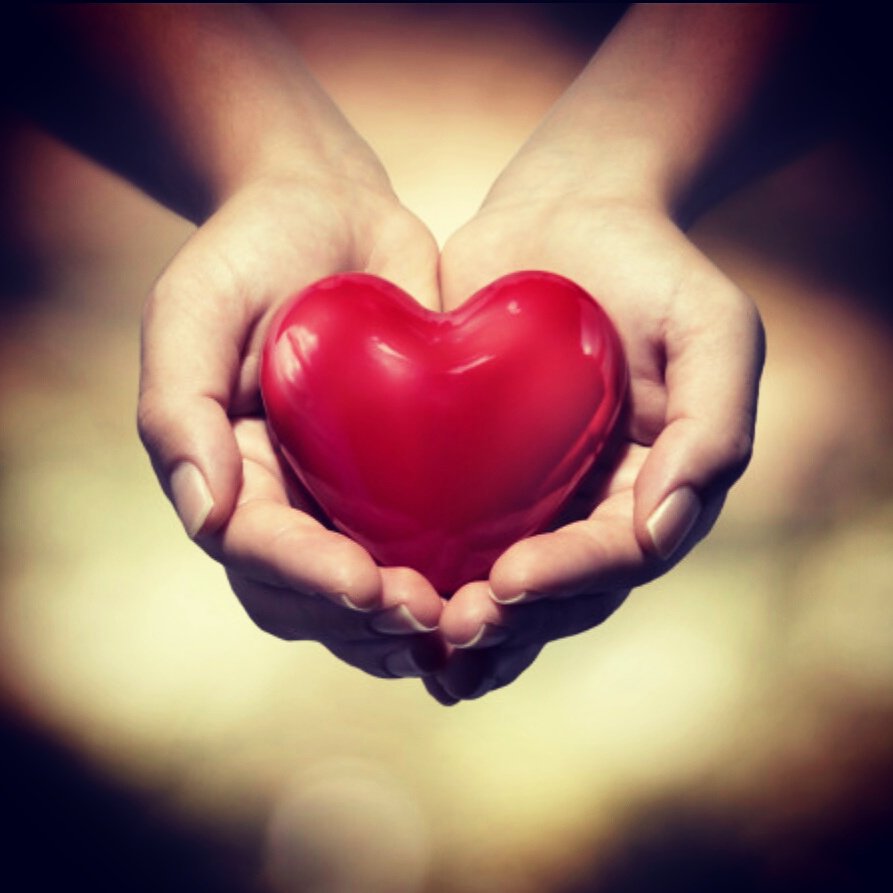 UNEVISION's tweet photo. Share our gift... #onelove #unity #charity #cause #foundation #organization #volunteer #peace #love #happiness #donate #give #unevision https://t.co/IZgeUhHAKS