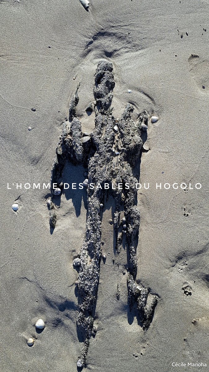 cocalicot's tweet photo. #hommedessables, plage du #Hogolo #Plestin les Grèves @cotesdarmor22 @PlestinTourisme https://t.co/OorlTXPyRY