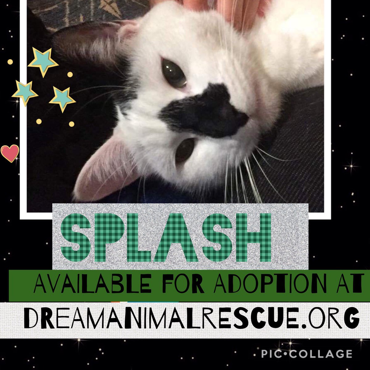 Cindy (Nelson) Rupp (@ocshopgirl) | Twitter