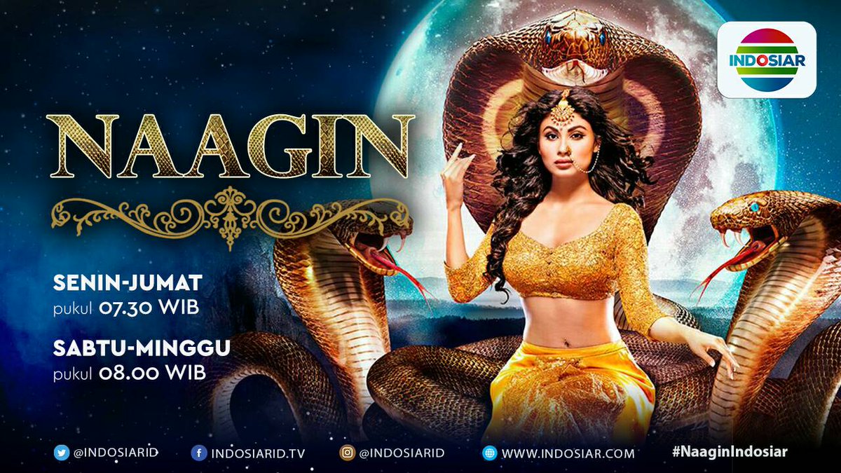 Indosiar's tweet photo. Pagi ini #NaaginIndosiar hadir pkl 08.00 WIB, siap-siap ya sebentar lagi loh! https://t.co/DqTYPduIB2